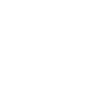 Grupo Leomotor - Peugeot